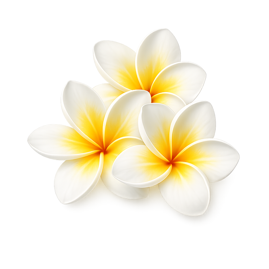 Frangipani