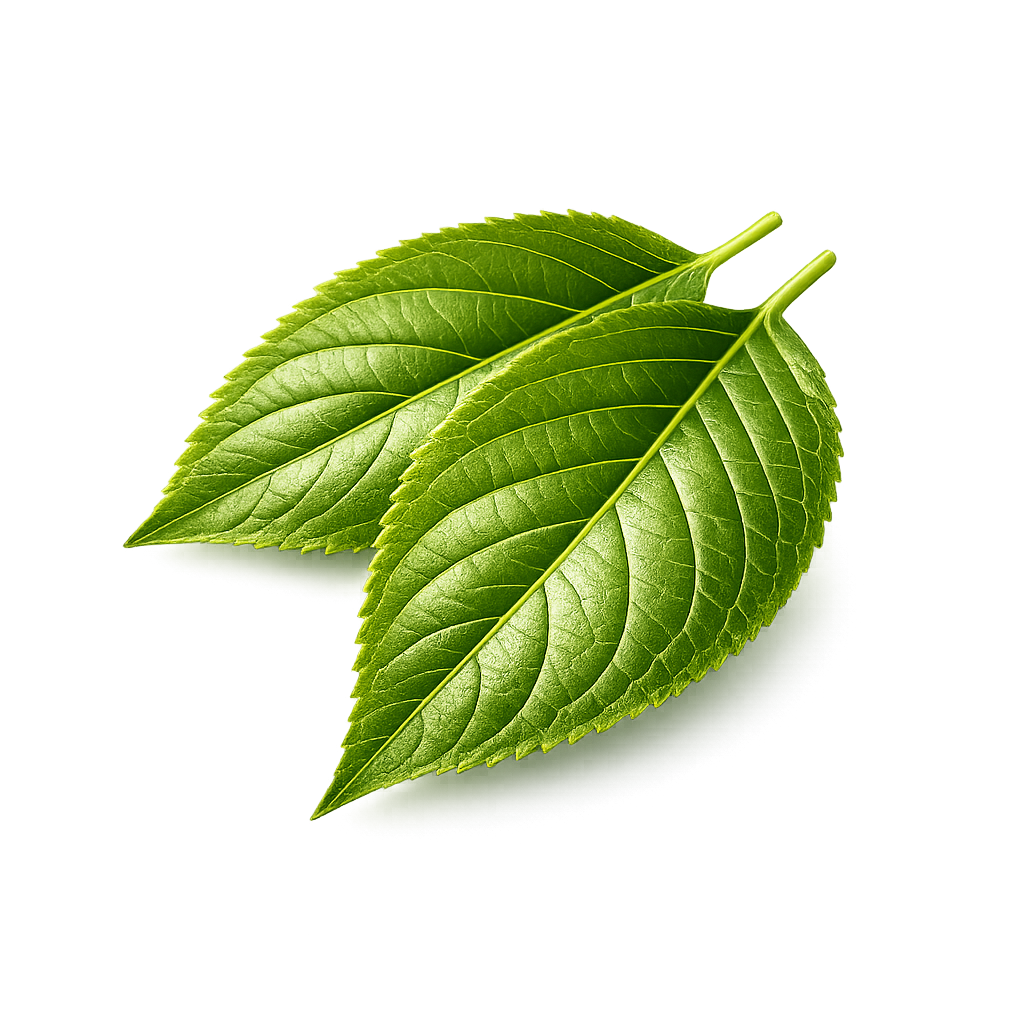 Green Leaf