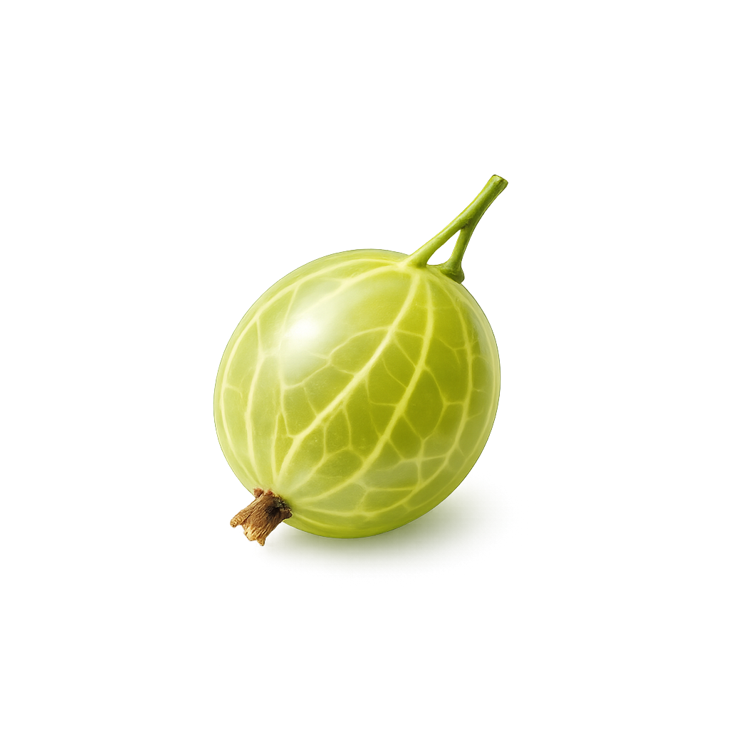Gooseberry