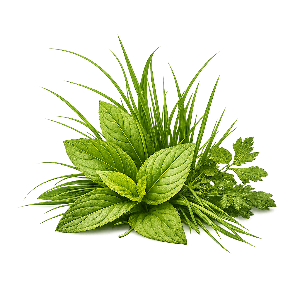 Green notes