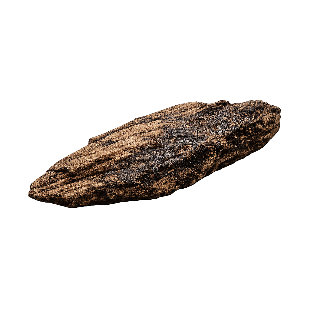Agarwood