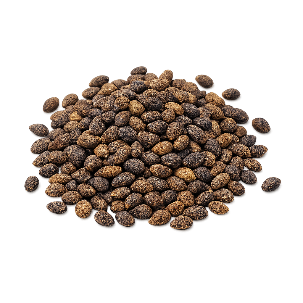 Ambrette seeds