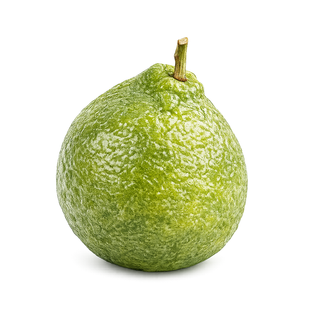 Bergamot