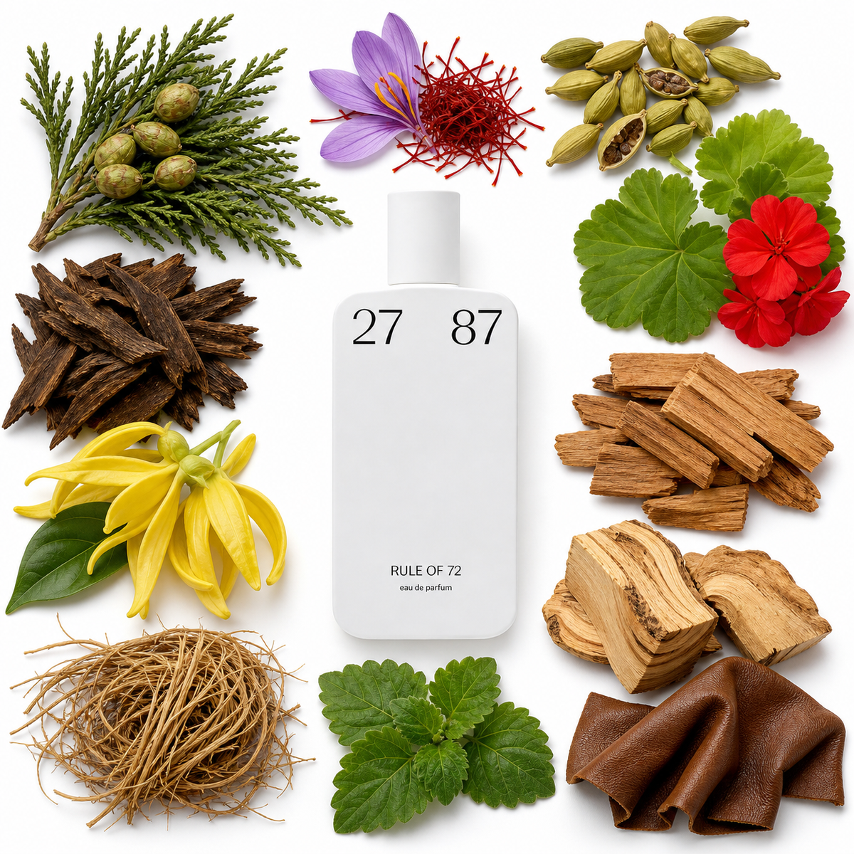 2787 Perfumes rule of 72 Eau de Parfum with scent notes