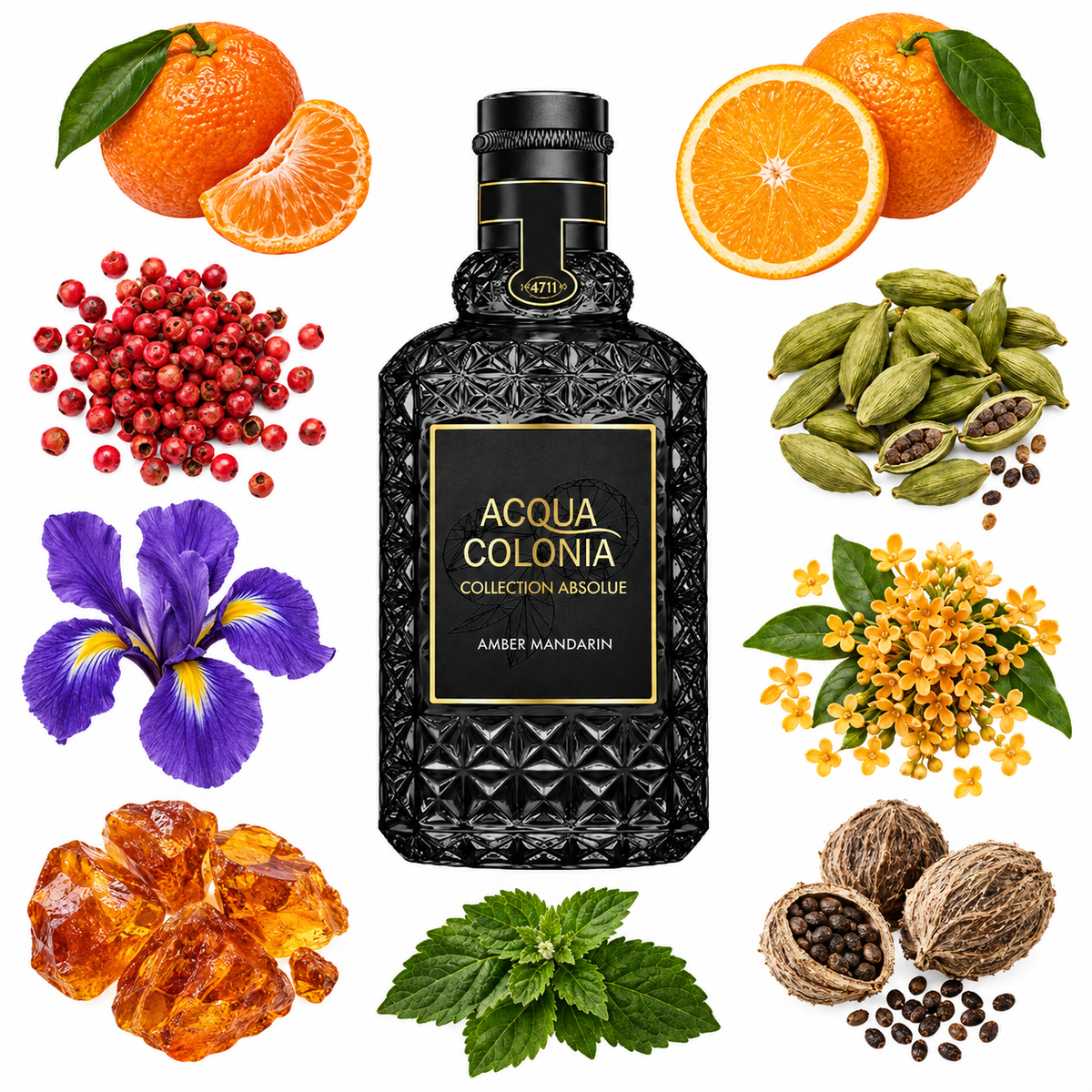 4711 Acqua Colonia ABSOLUE Amber Mandarin Eau de Parfum Absolue with scent notes