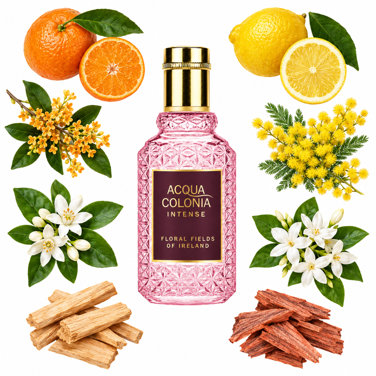 4711 Acqua Colonia Intense Floral Fields of Ireland Eau de Cologne with scent notes