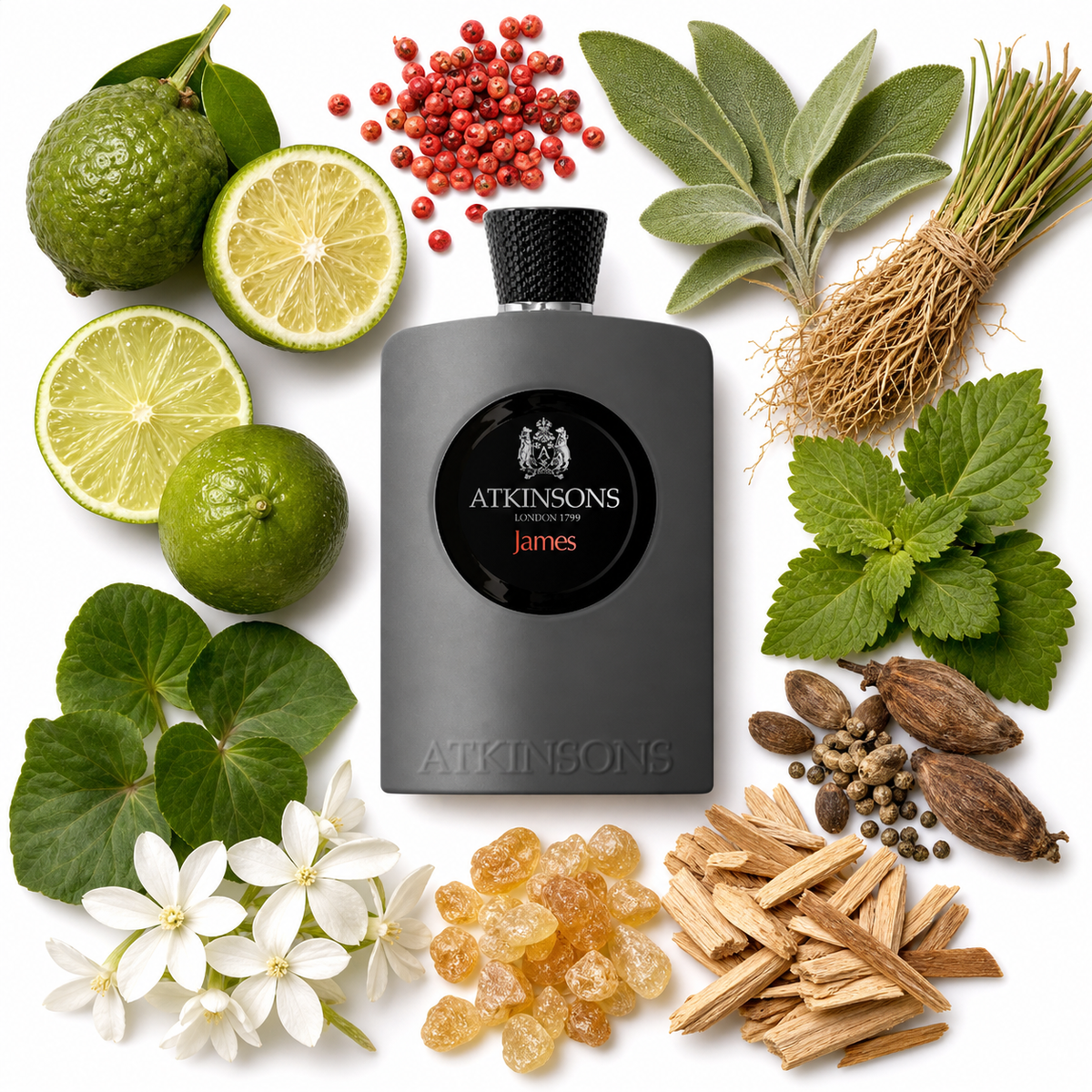 ATKINSONS James Eau de Parfum with scent notes
