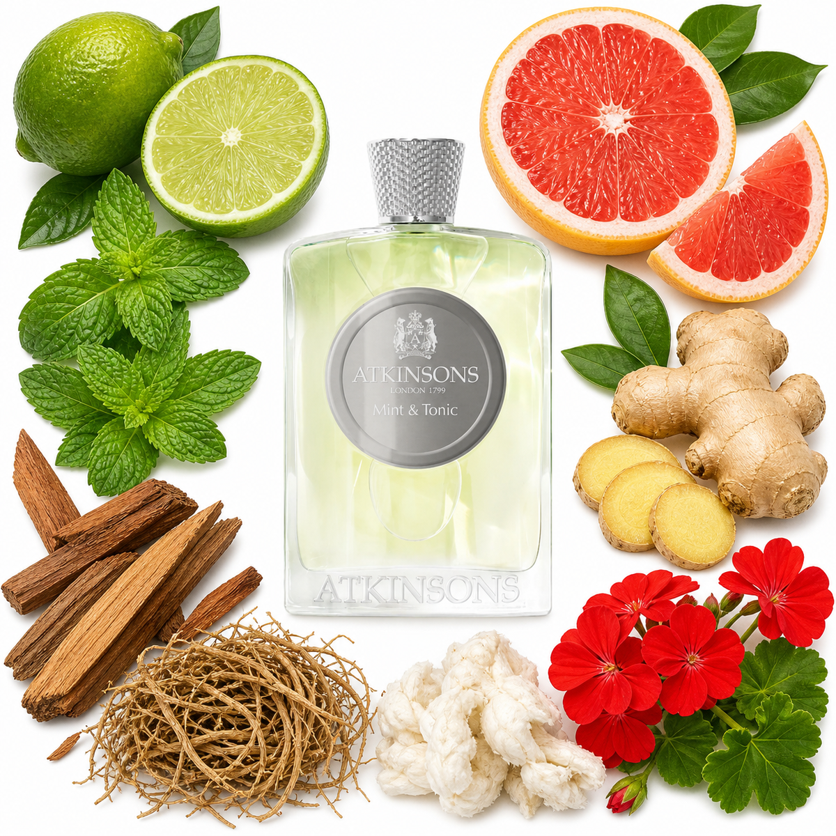 ATKINSONS Mint & Tonic Eau de Parfum with scent notes