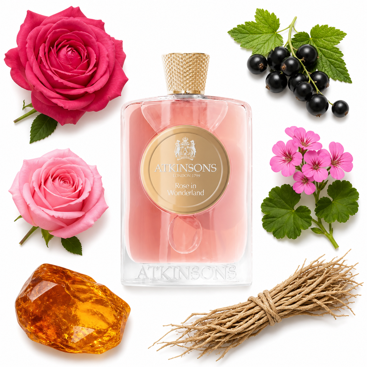 ATKINSONS Rose in Wonderland Eau de Parfum with scent notes