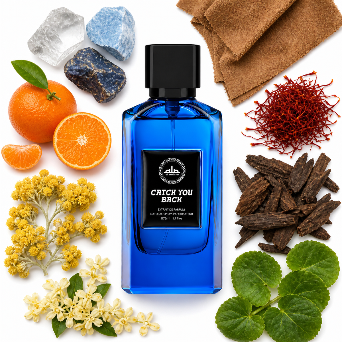 Al Ambra Catch You Back Extrait de Parfume with scent notes
