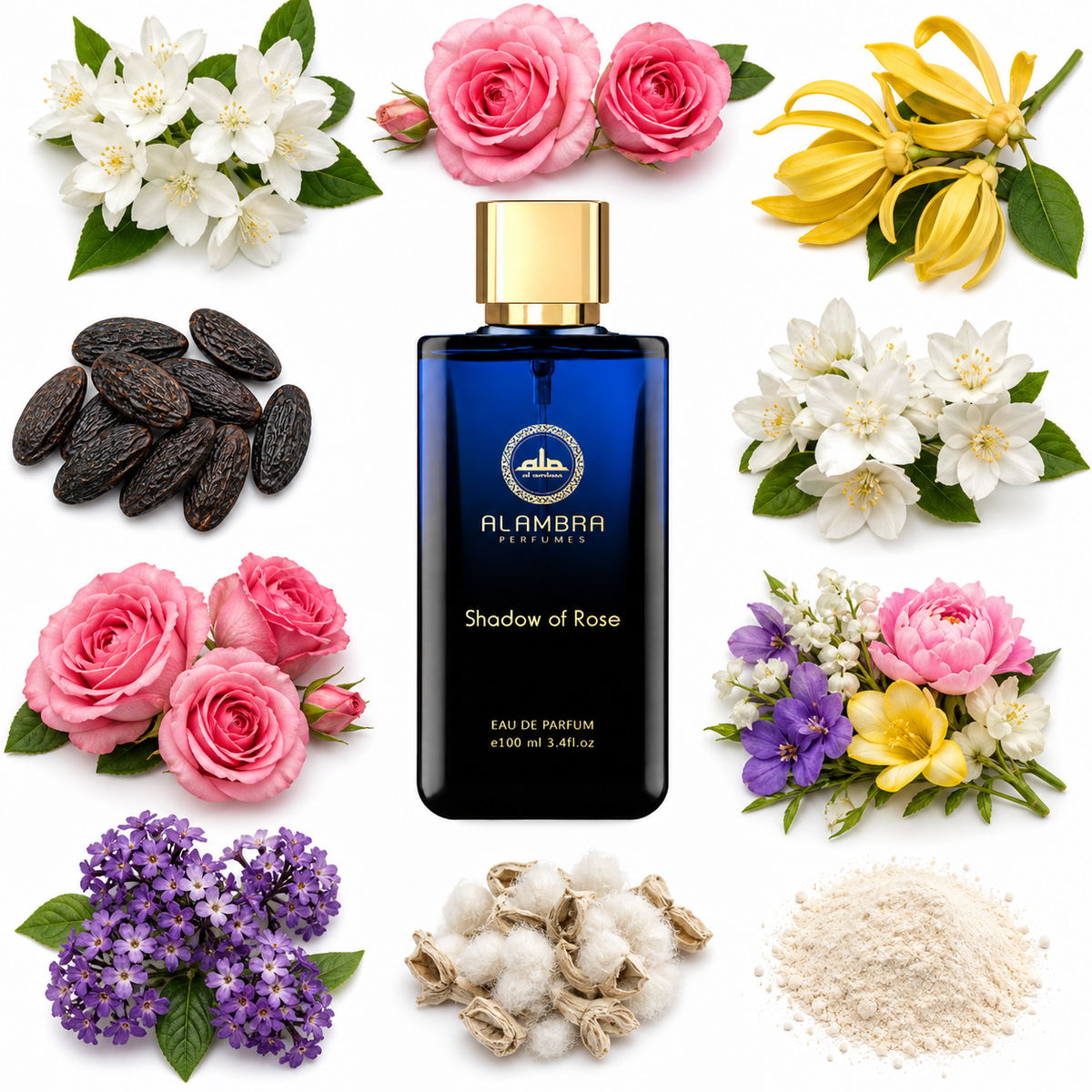 Al Ambra Shadow of Rose Eau de Parfum with scent notes