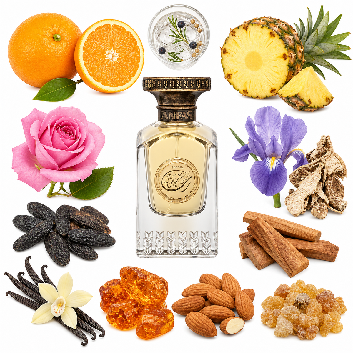 Anfas Rahaba Eau de Parfum with scent notes