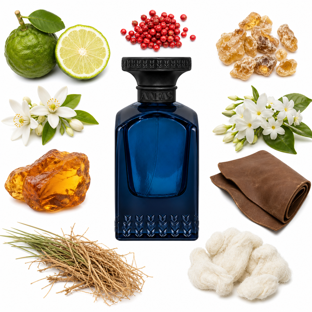 Anfas SAMA Extrait de Parfum with scent notes
