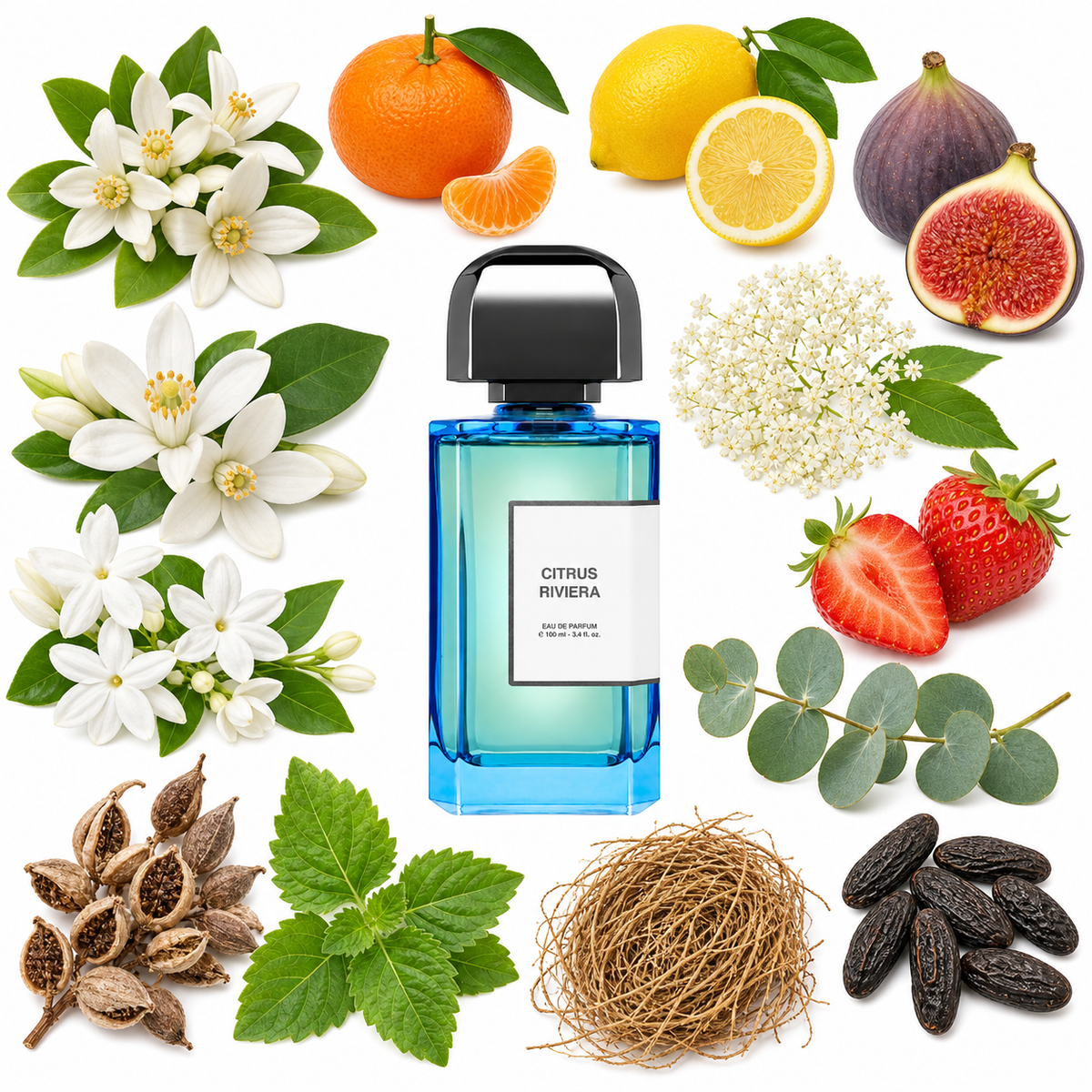 BDK Parfums Citrus Riviera Eau de Parfum with scent notes