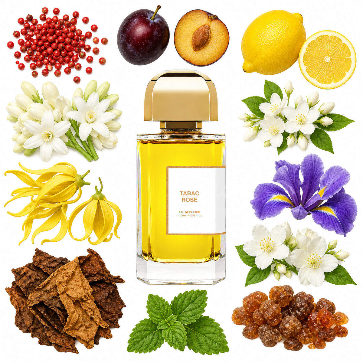 BDK Parfums Tabac Rose Eau de Parfum with scent notes