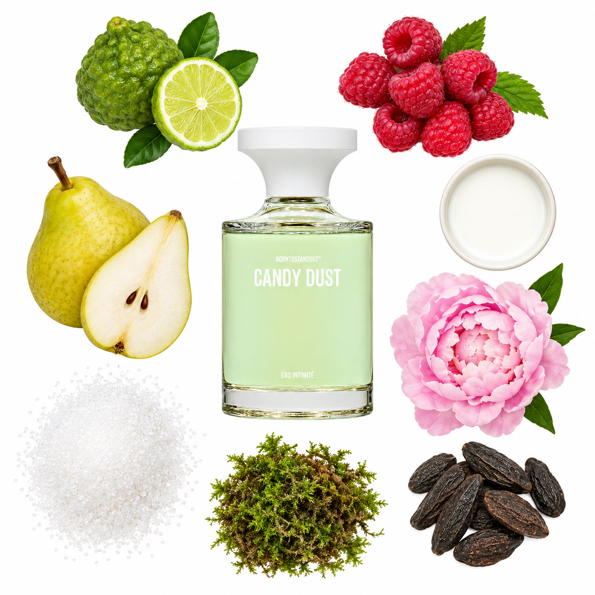 BORNTOSTANDOUT Candy Dust Eau de Parfum with scent notes