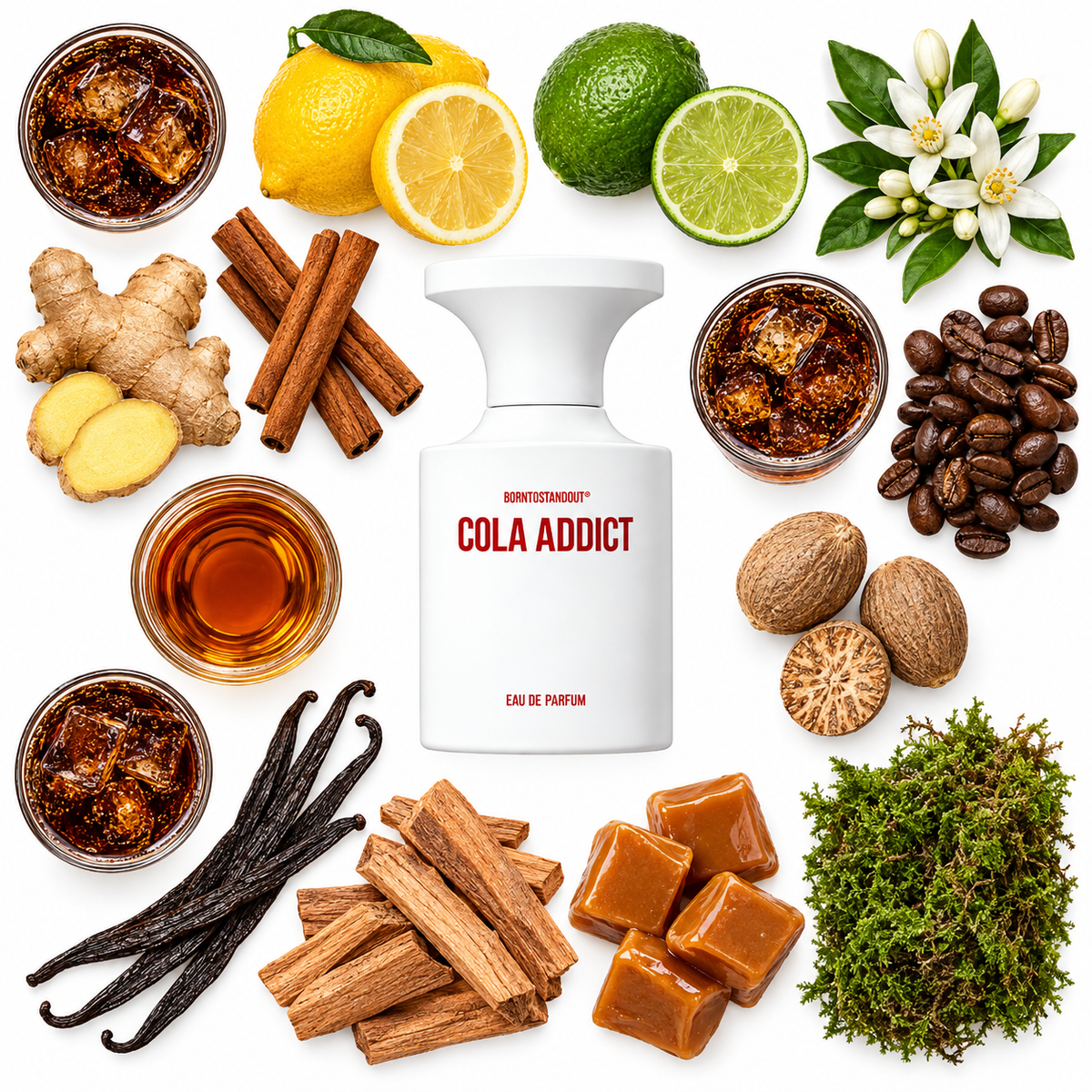 BORNTOSTANDOUT Cola Addict Eau de Parfum with scent notes