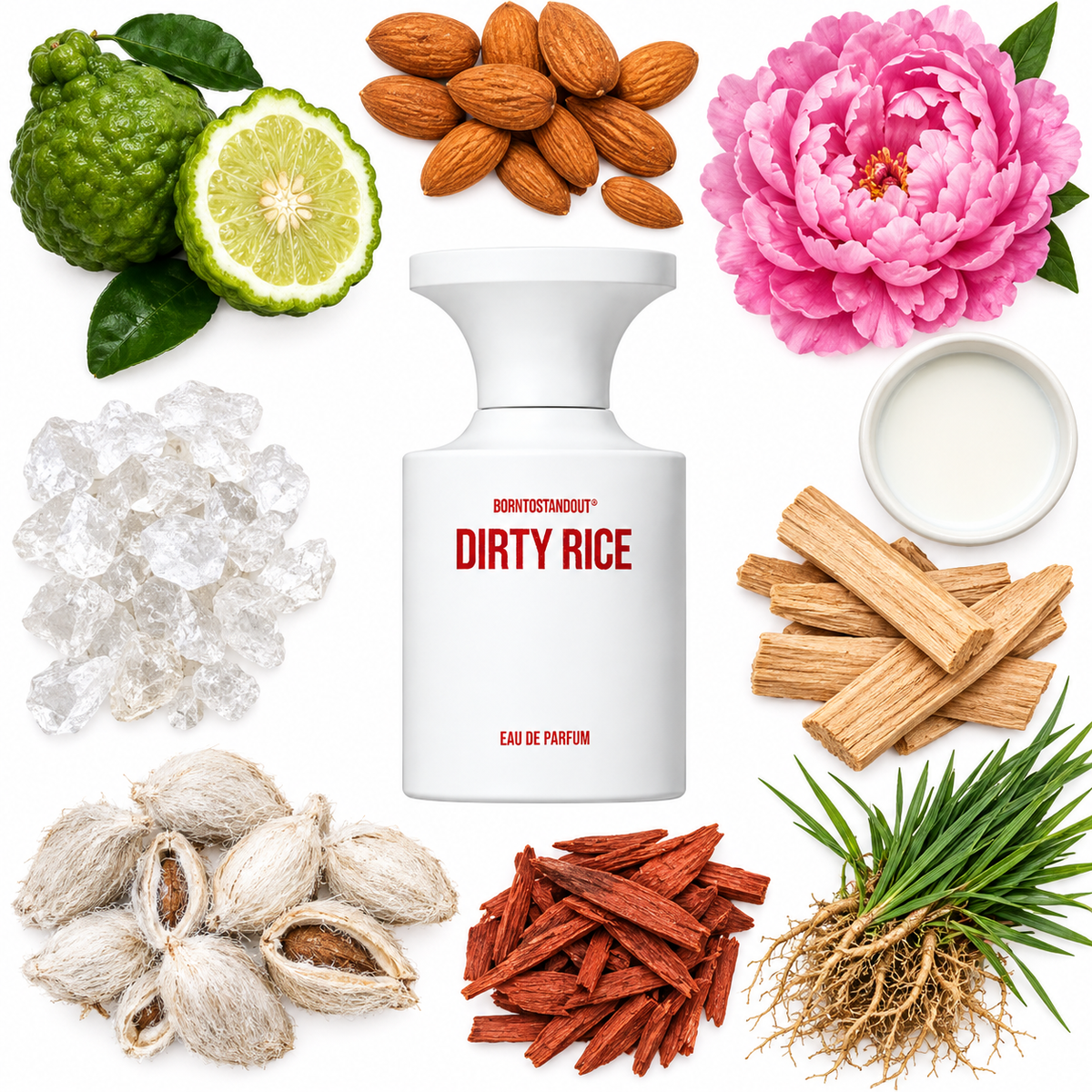 BORNTOSTANDOUT Dirty Rice Eau de Parfum with scent notes