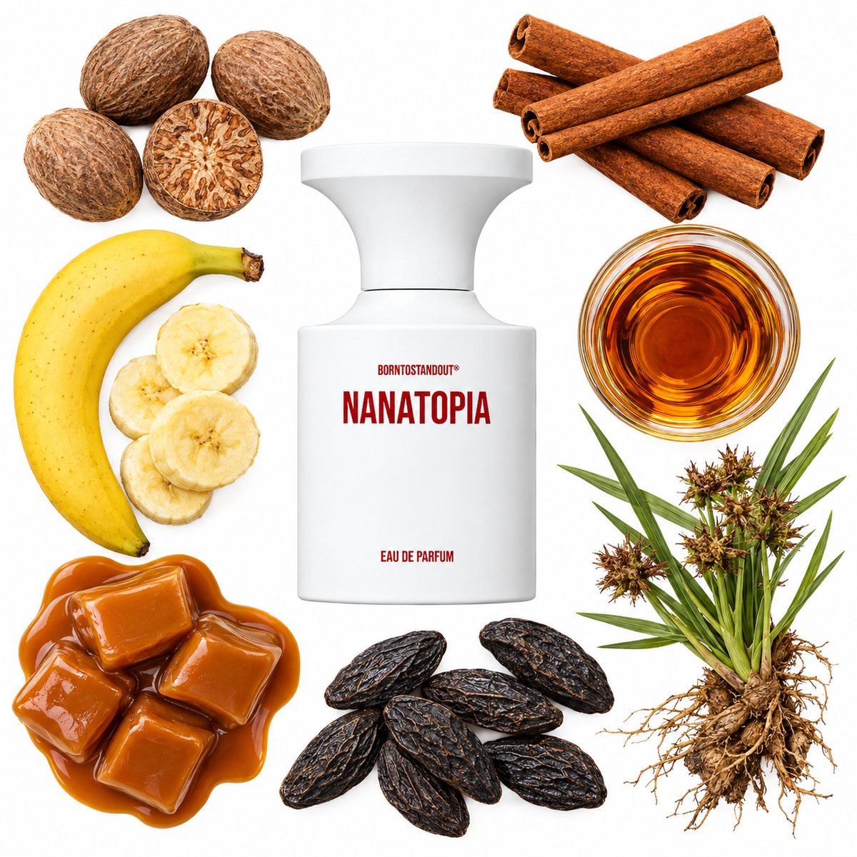 BORNTOSTANDOUT Nanatopia Eau de Parfum with scent notes
