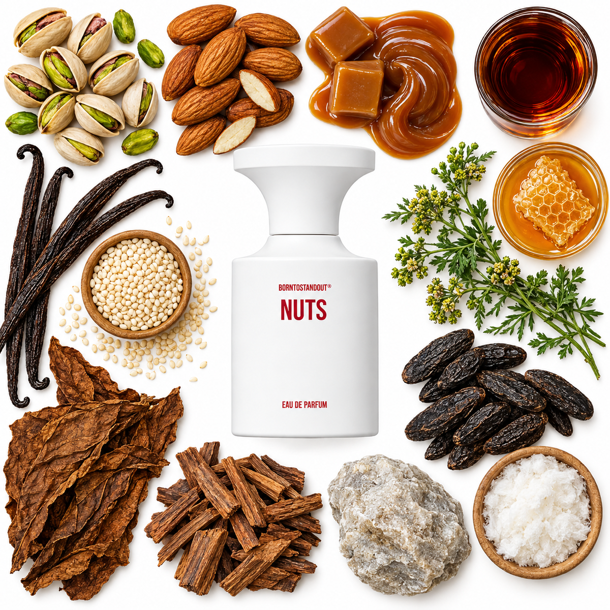 BORNTOSTANDOUT Nuts Eau de Parfum with scent notes