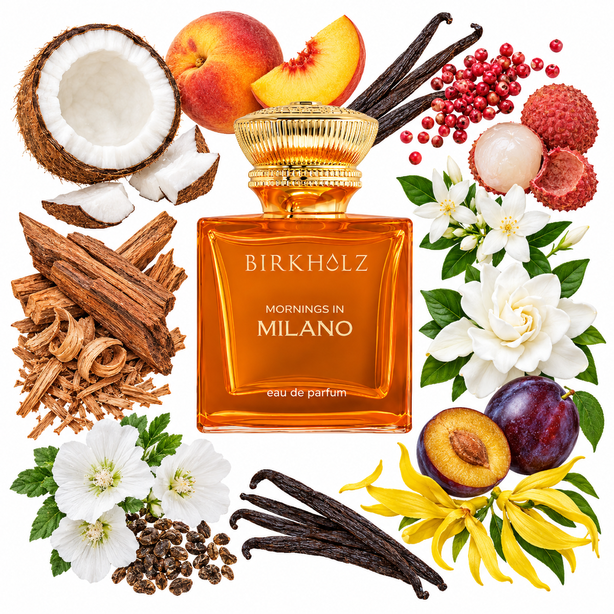 Birkholz Mornings in Milano Eau de Parfum with scent notes