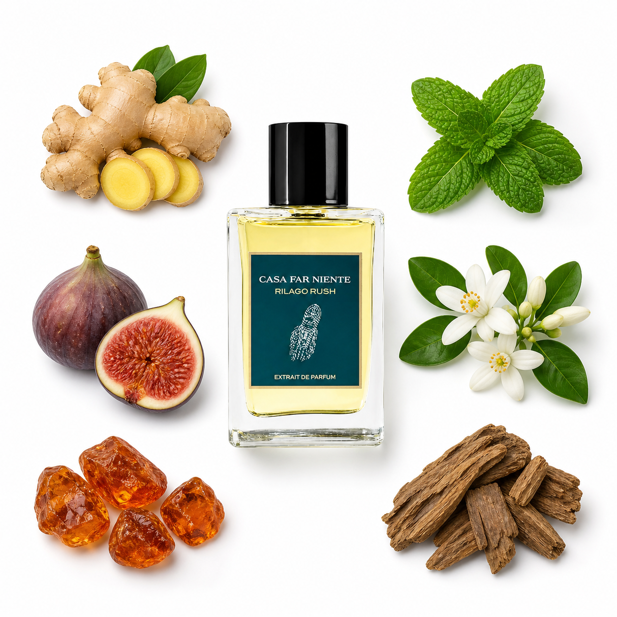 Casa Far Niente Rilago Rush Extrait de Parfum 100 ml with scent notes