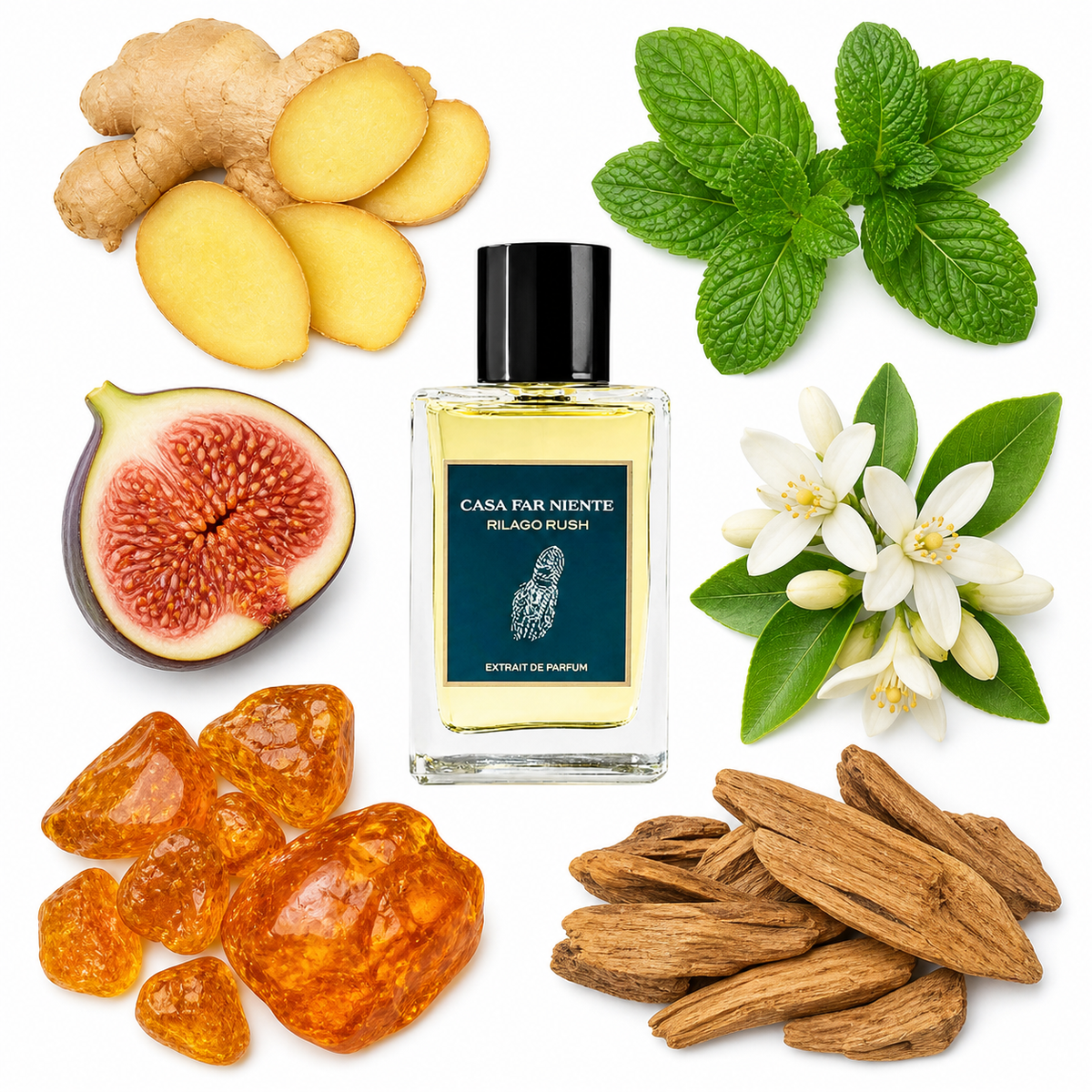 Casa Far Niente Rilago Rush Extrait de Parfum with scent notes