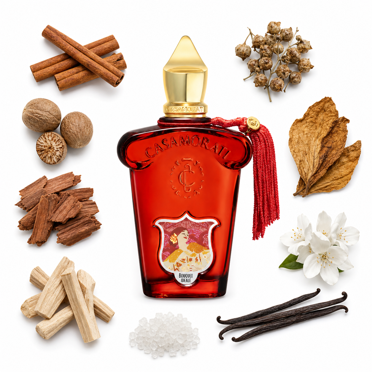 Casamorati 1888 Bouquet Ideale Eau de Parfum 100 ml with scent notes