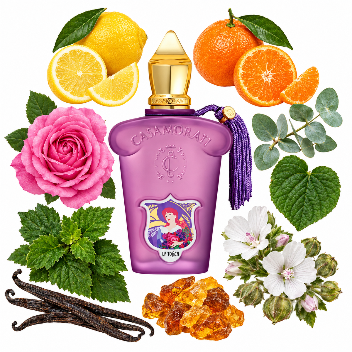 Casamorati 1888 La Tosca Eau de Parfum with scent notes