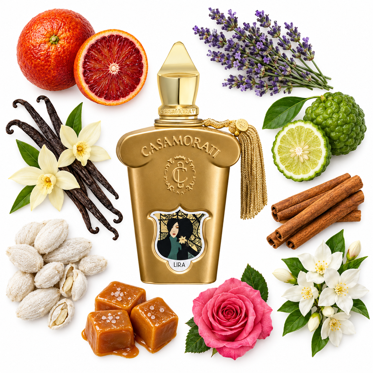 Casamorati 1888 Lira Eau de Parfum with scent notes
