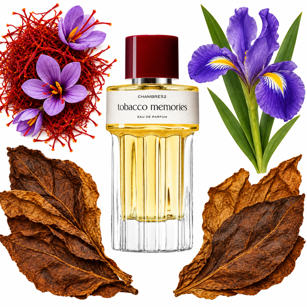 Chambre52 Tobacco Memories Eau de Parfum with scent notes