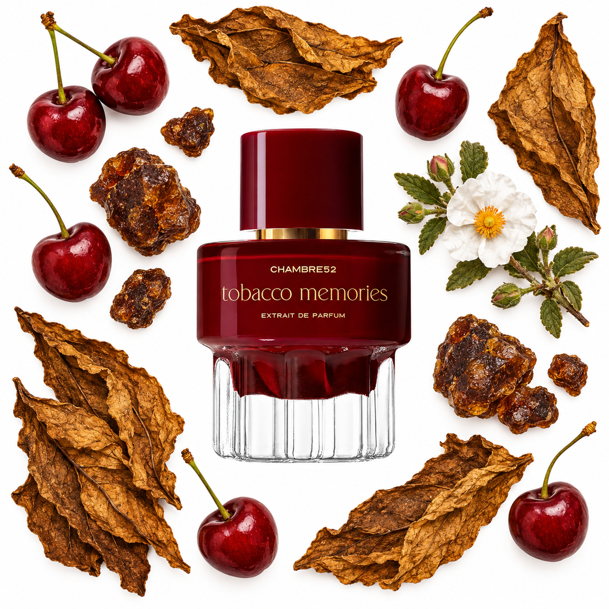 Chambre52 Tobacco Memories Extrait de Parfum with scent notes