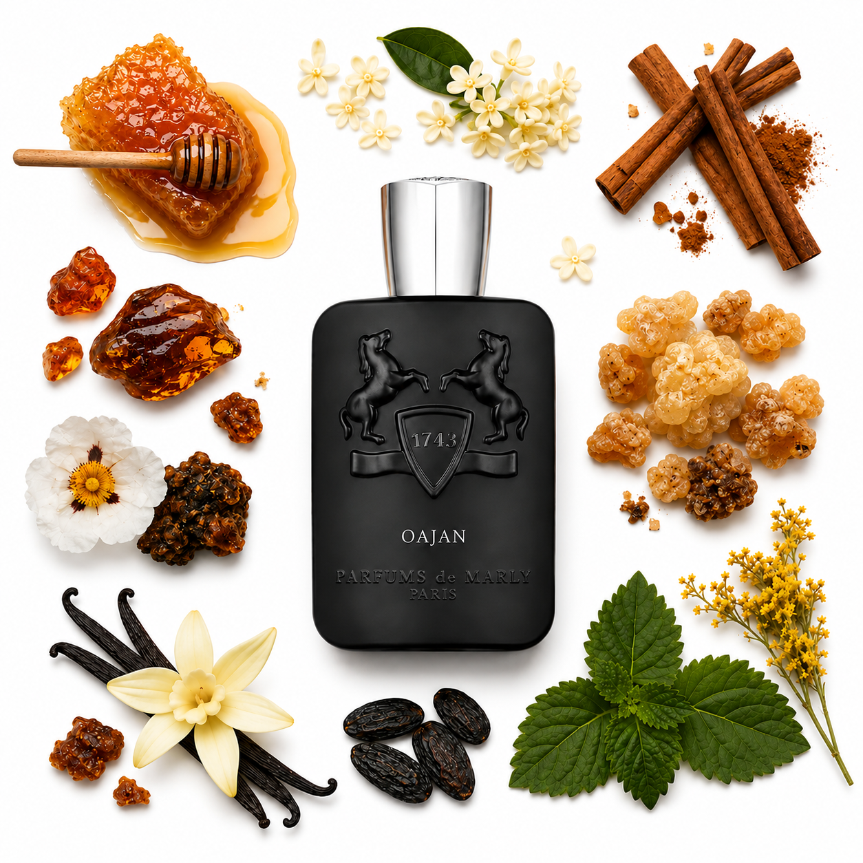 Parfums de Marly Oajan Eau de Parfum