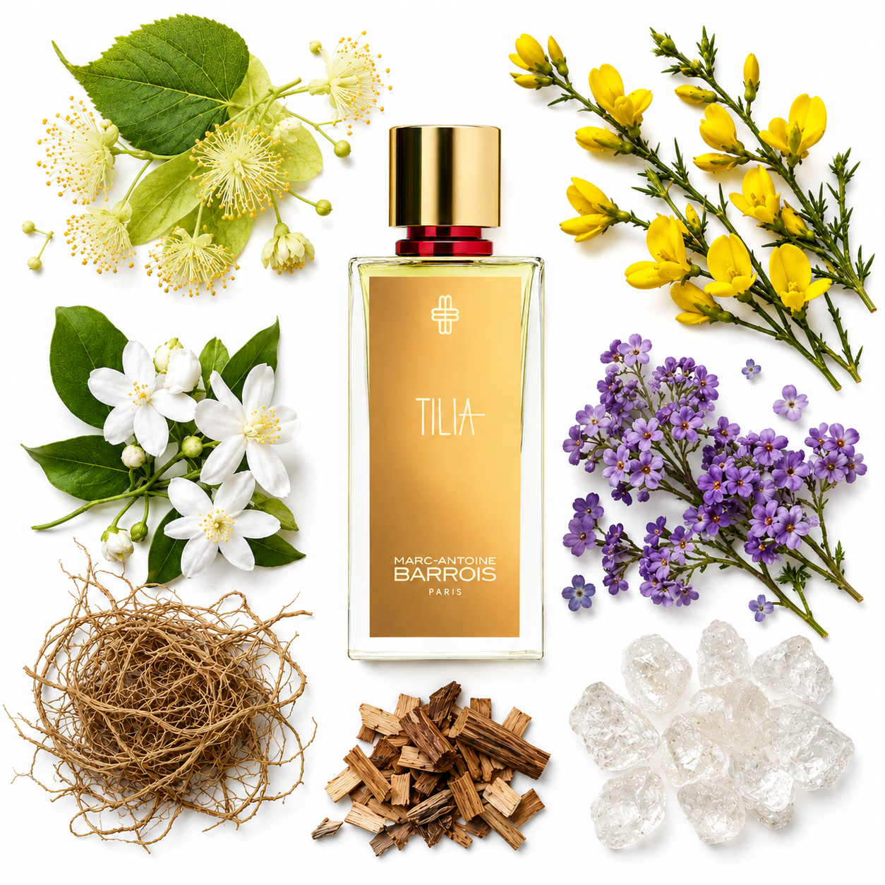 Marc-Antoine Barrois Tilia Eau de Parfum