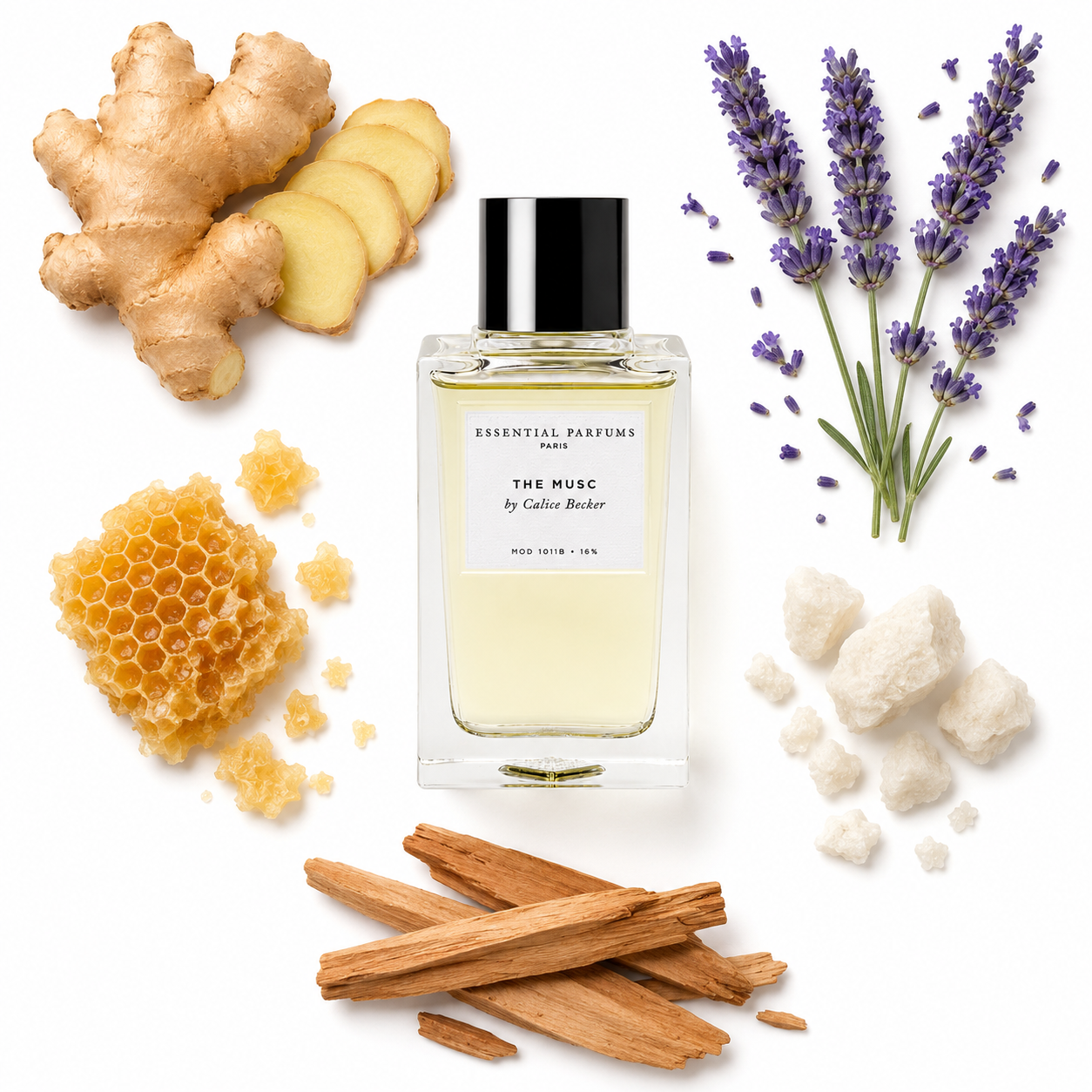 Essential Parfums THE MUSC by Calice Becker Eau de Parfum