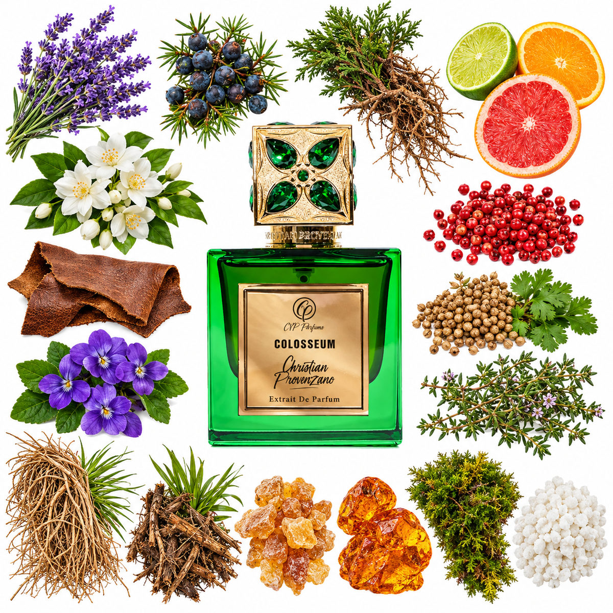 Christian Provenzano Colosseum Extrait de Parfum with scent notes