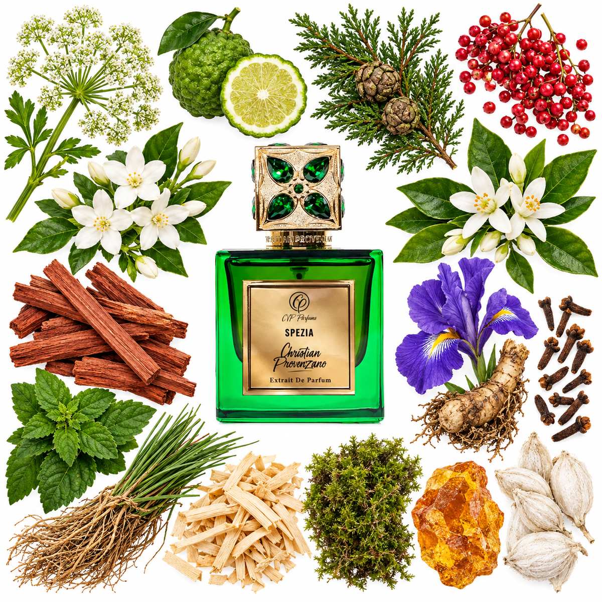 Christian Provenzano Spezia Extrait de Parfum with scent notes