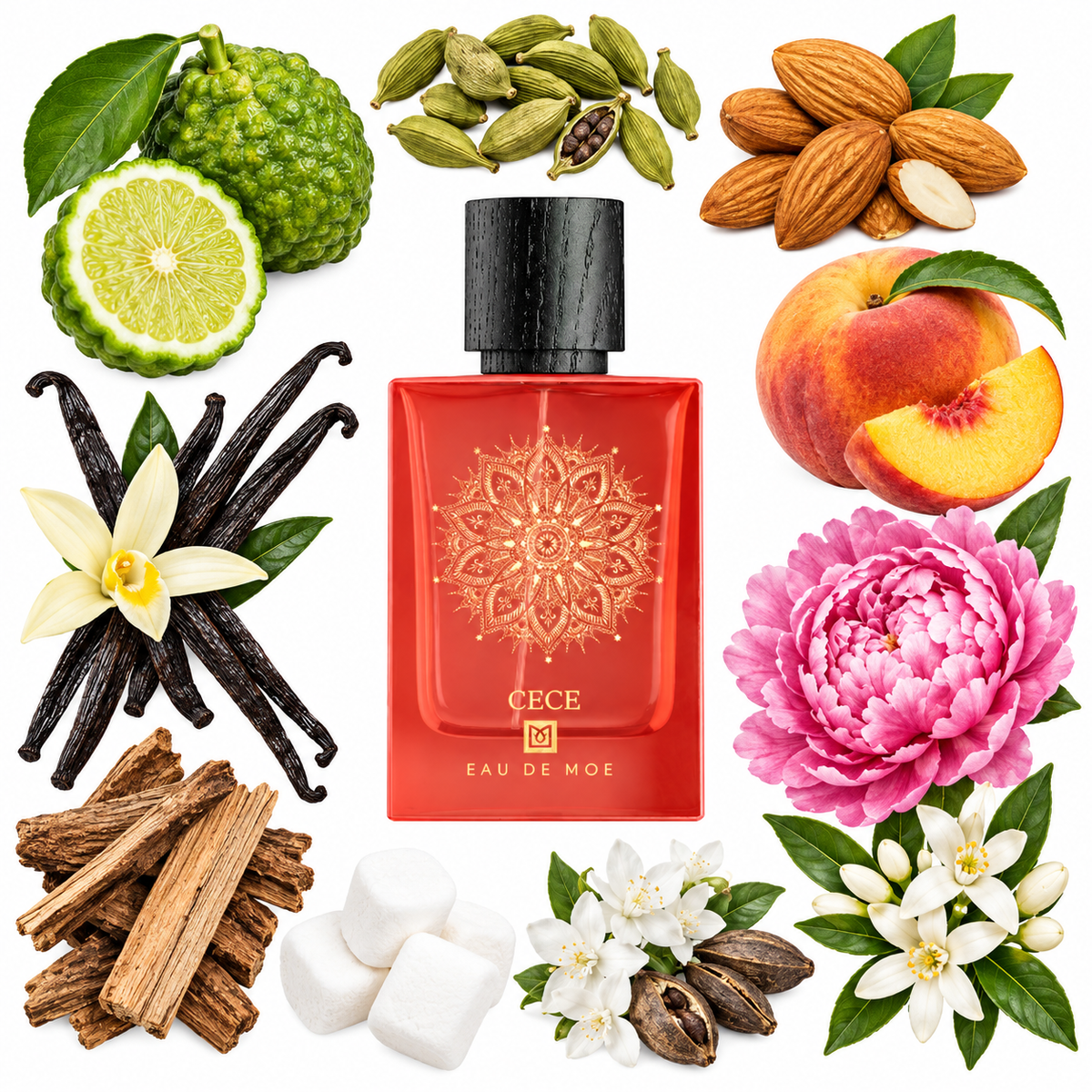 Eau de Moe CECE Eau de Parfum with scent notes