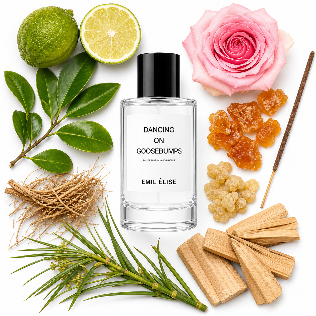 Emil Élise Dancing On Goosebumps Eau de Parfum with scent notes