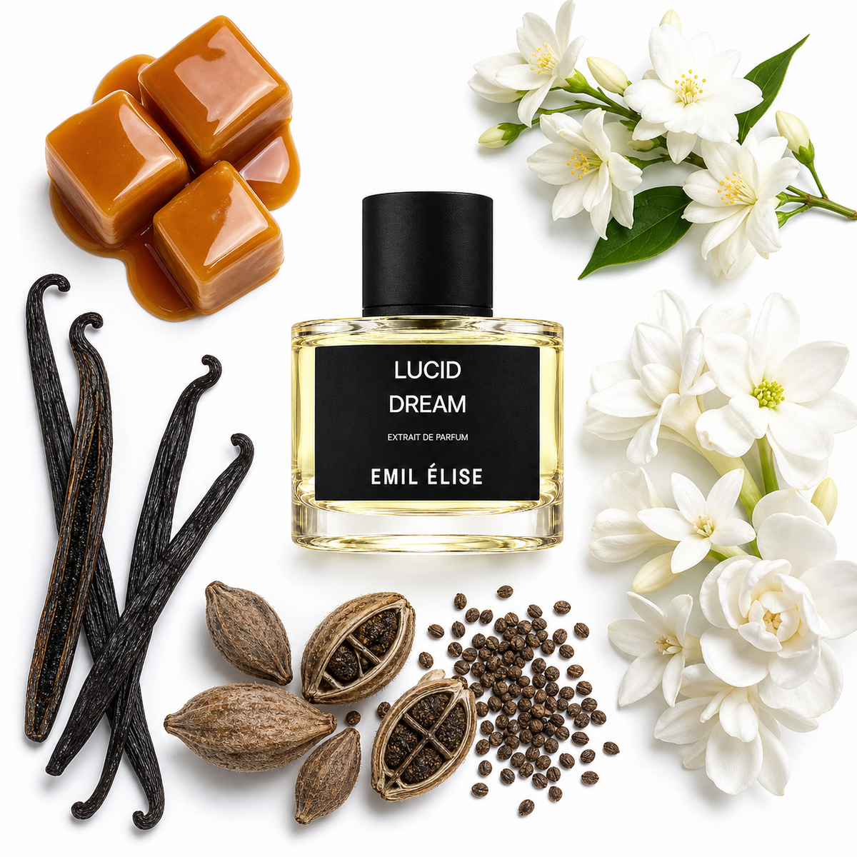 Emil Élise Lucid Dream Extrait de Parfum with scent notes