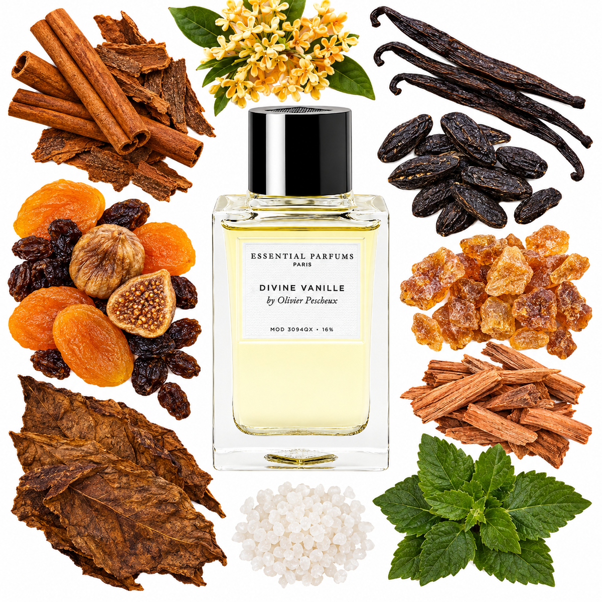 Essential Parfums DIVINE VANILLE by Olivier Pescheux Eau de Parfum with scent notes