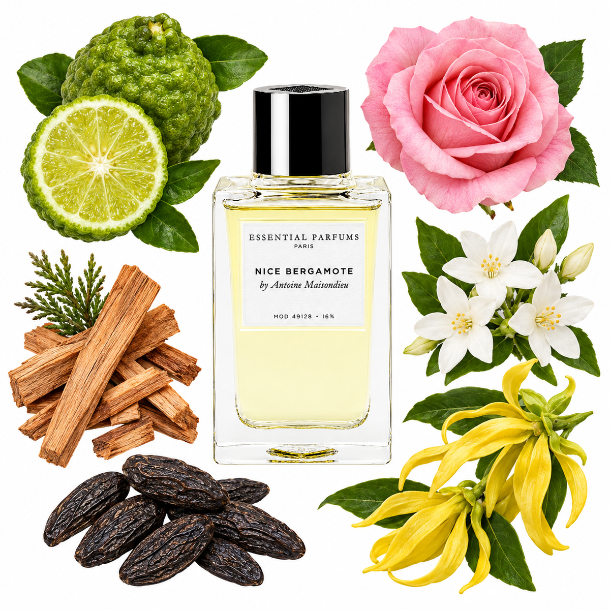 Essential Parfums NICE BERGAMOTE by Antoine Maisondieu Eau de Parfum with scent notes