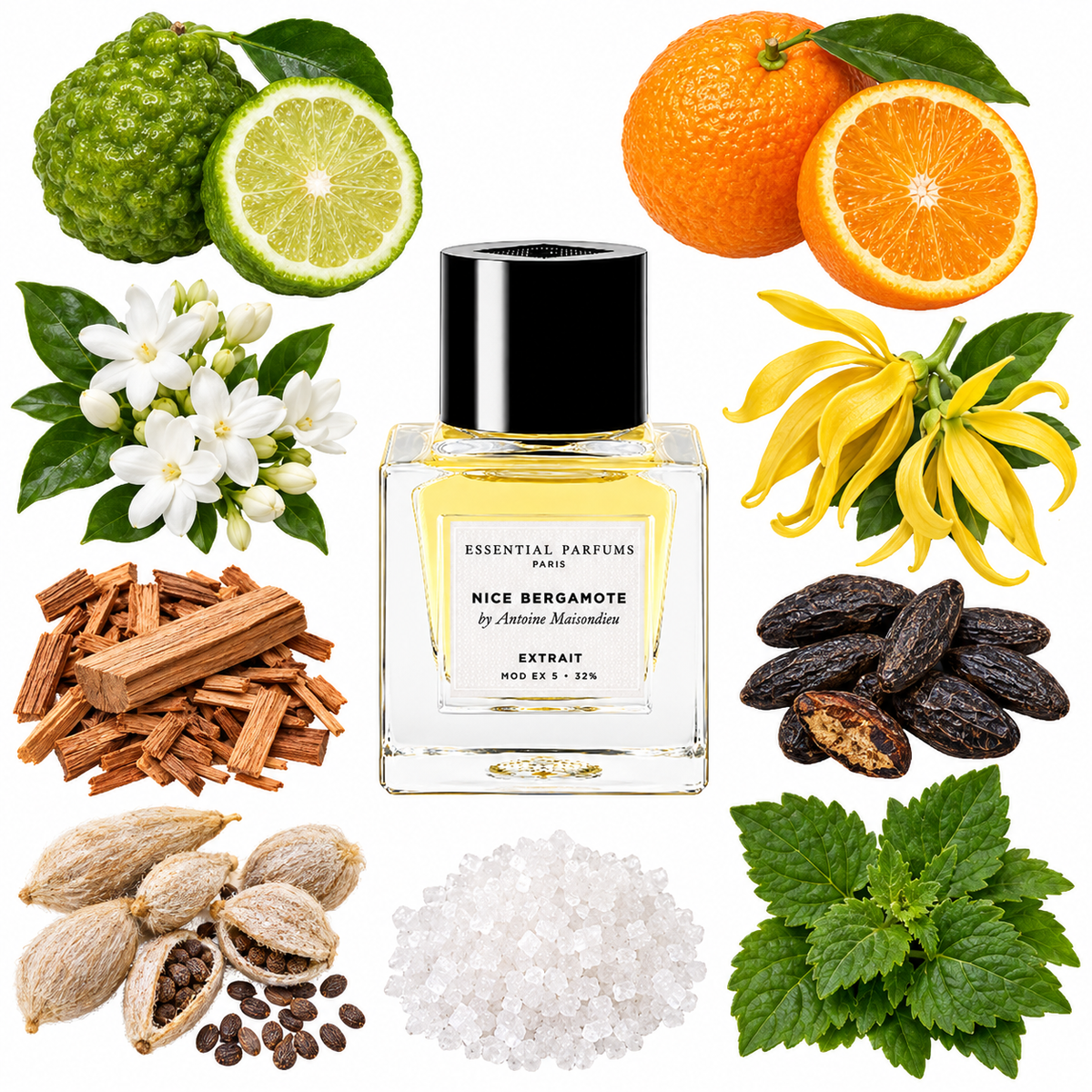 Essential Parfums NICE BERGAMOTE by Antoine Maisondieu Extrait de Parfum with scent notes