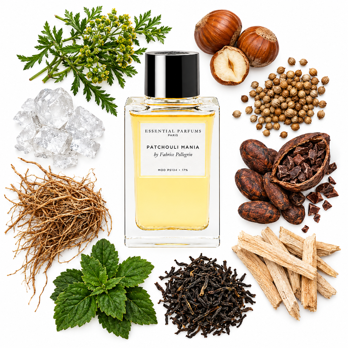 Essential Parfums PATCHOULI MANIA by Fabrice Pellegrin Eau de Parfum with scent notes