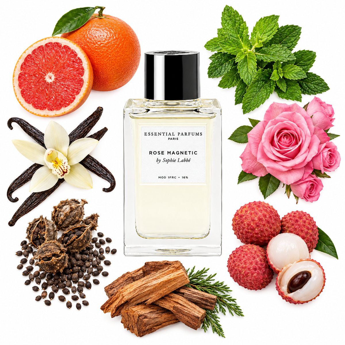 Essential Parfums ROSE MAGNETIC by Sophie Labbé Eau de Parfum with scent notes