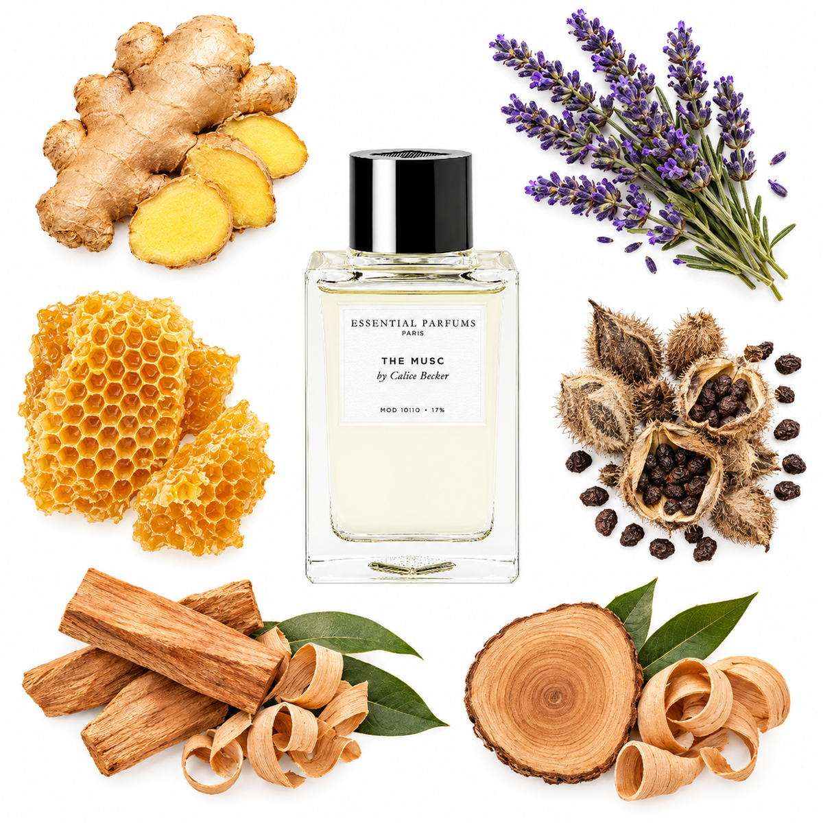 Essential Parfums THE MUSC by Calice Becker Eau de Parfum with scent notes