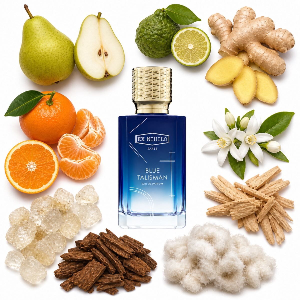 Ex Nihilo BLUE TALISMAN Eau de Parfum with scent notes
