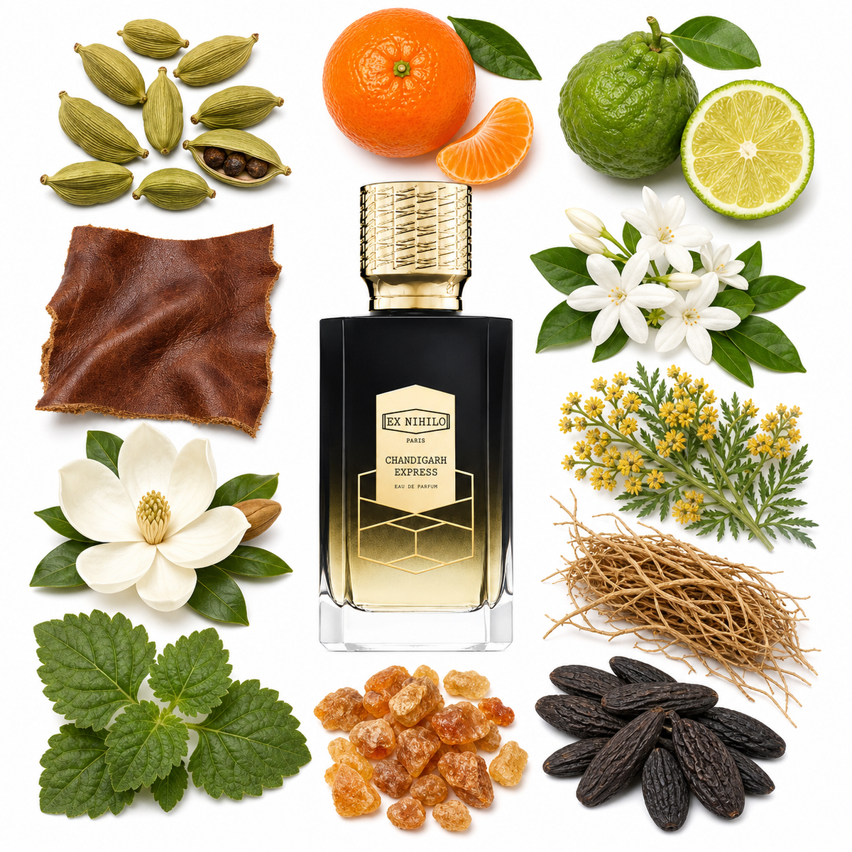 Ex Nihilo CHANDIGARH EXPRESS Eau de Parfum with scent notes