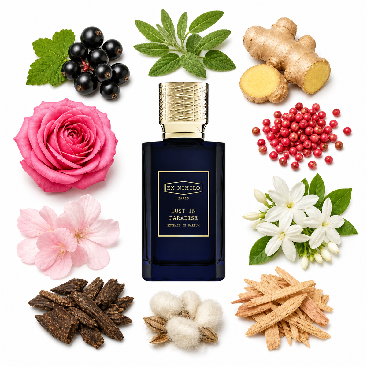 Ex Nihilo LUST IN PARADISE Extrait de Parfum with scent notes