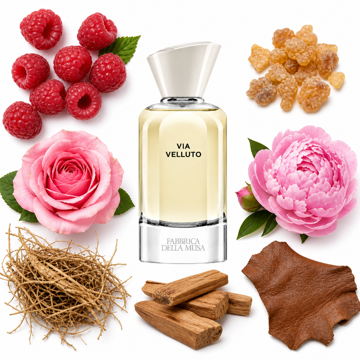 Fabbrica Della Musa Via Velluto Eau de Parfum with scent notes